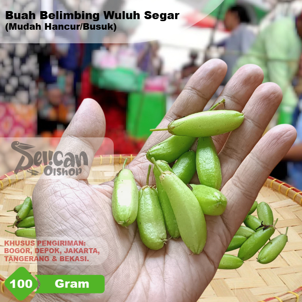 

Belimbing Wuluh Buah 100 gram Untuk Masakan Tumisan Kuah Sambal Manisan Obat Herbal Masker Wajah