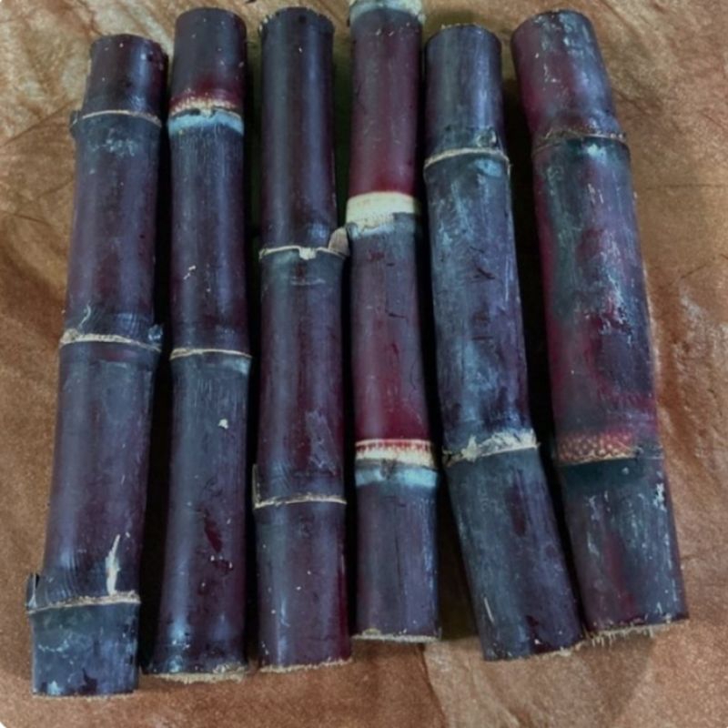 

tebu hitam atau tebu ireng asli 1kg