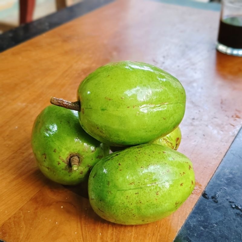 

buah kedondong mentah segar besar 1 kg isi 4 hingga 6 buah