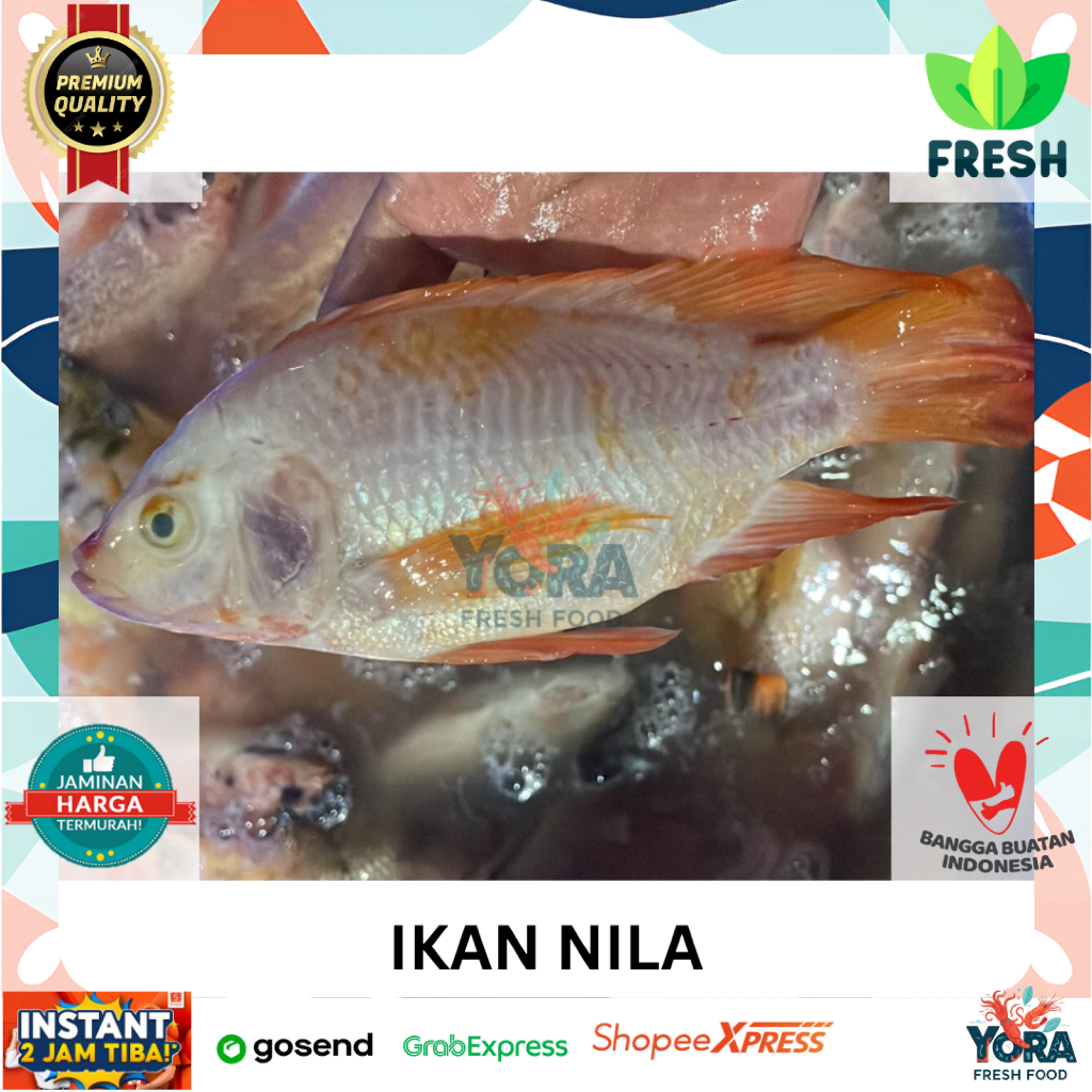

IKAN NILA MERAH SUDAH DIBERSIHKAN 1KG ISI 5-6 FRESH FROZEN PREMIUM INSTAN
