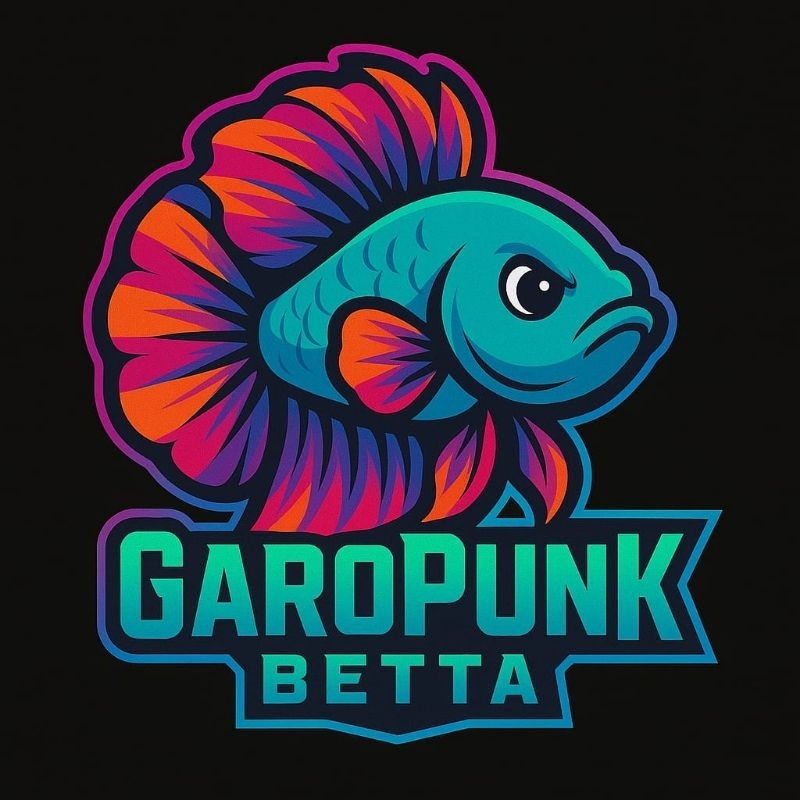 

CO STIKER LIVE