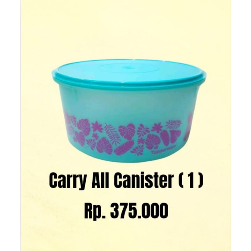 CARRY ALL CANISTER (1) TUPPERWARE ORIGINAL