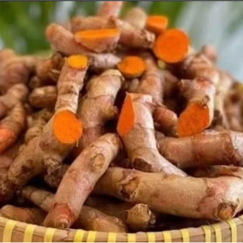 

1000 gram/1kg kunyit fresh termurah terlaris