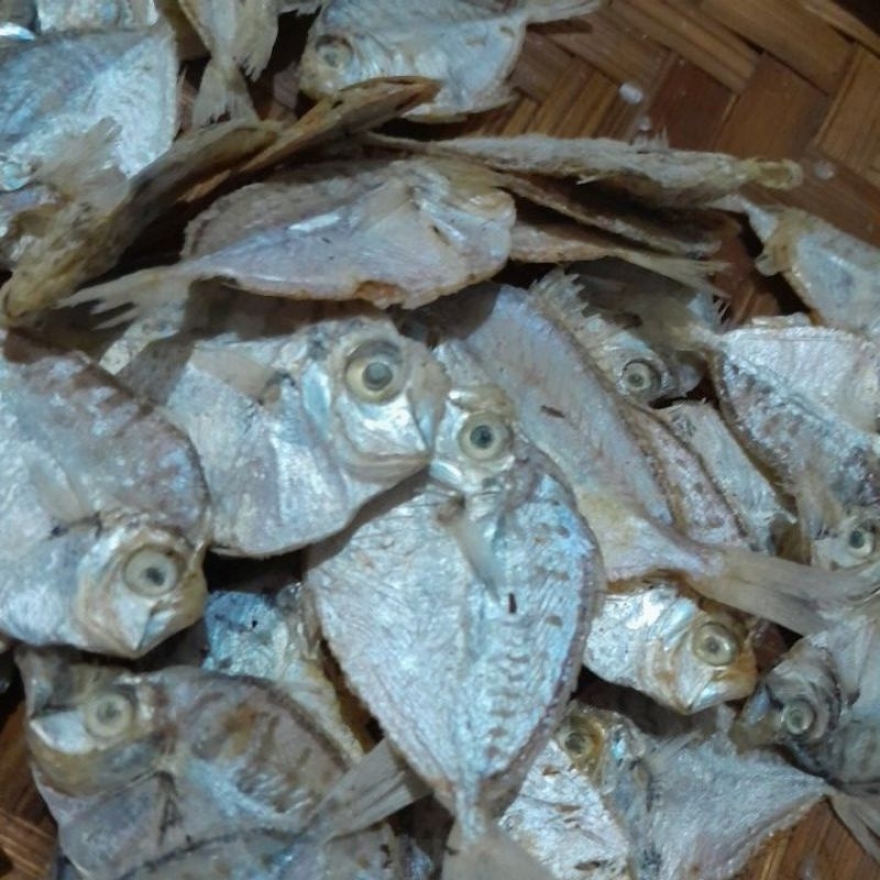 

ikan asin kempar atau layangan