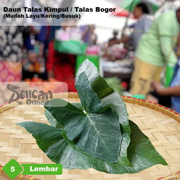 

Daun Talas Bogor 5 Lembar Untuk Bungkus Buntil Obat Herbal Pakan Ikan Gurame Patin