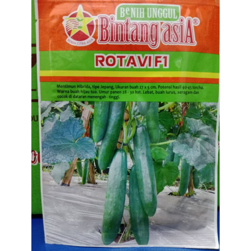 Benih Biji Mentimun timun tipe Mentimun Jepang Mentimun ROTAVI F1 Cap Bintang Asia Kemasan 20gr PT B