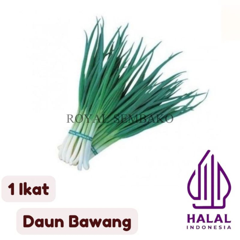 

TERMURAH SAYUR SEGAR DAUN BAWANG 1 IKAT , FRESH, BERSIH, MURAH, BONELLES, TERJANGKAU, PREMIUM