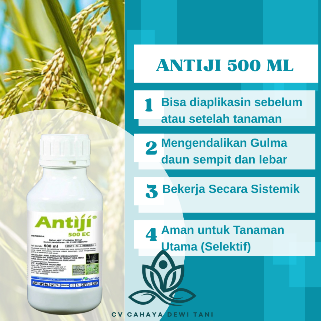 ANTIJI 500 ML Herbisida Racun Pembeku Biji Rumput Gulma Tanaman Padi