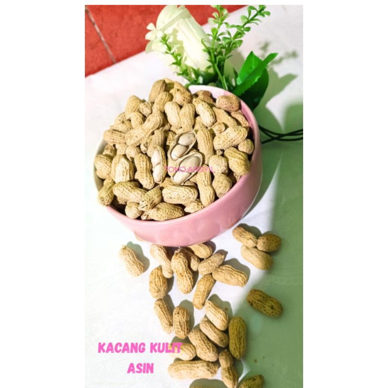 

Kacang Kulit Asin Oven Cemilan Enak 250gr - 500gr - 1kg