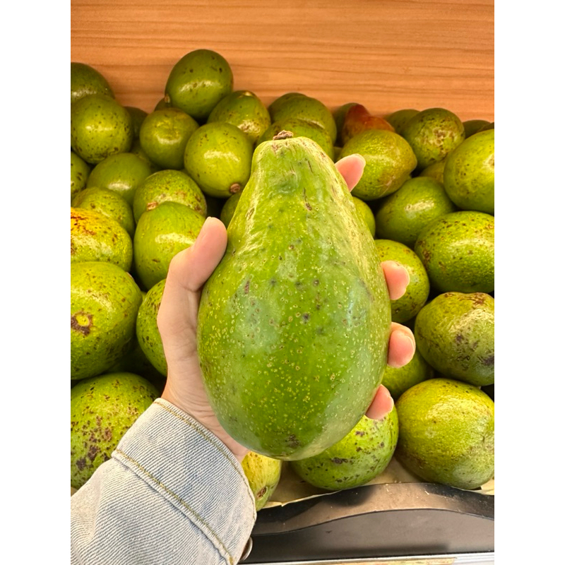 

AVOCADO / ALPUKAT MENTEGA SUPER UK BESAR HARGA UNTUK 1.200gram (1,2kg) ISI 2-3 BUAH READY PEKANBARU