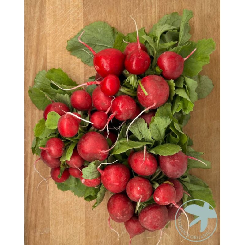 

red radish 1 kg -lobak merah fresh langsung dari kebun
