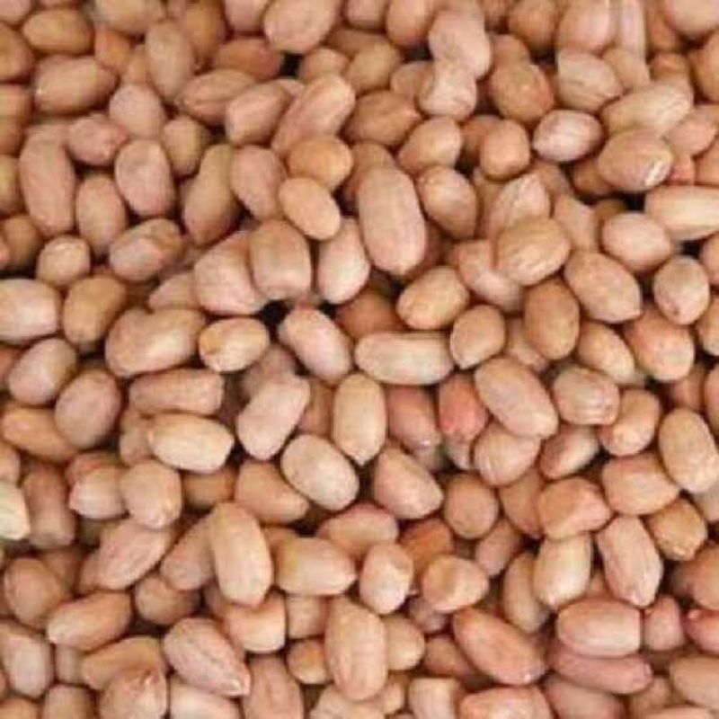 

kacang tanah 1 kg