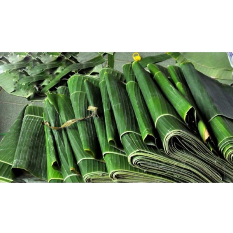 

daun pisang