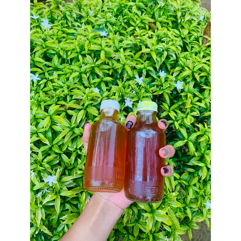 

Madu Kelulut Asli (panen sendiri)