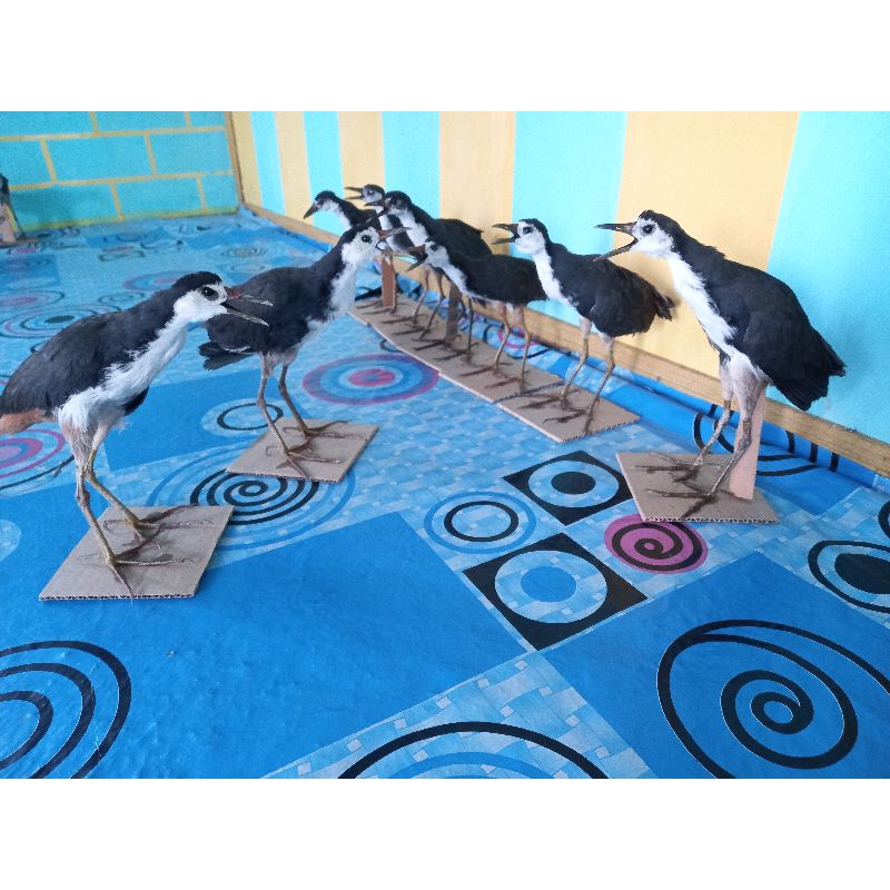 patung ruak ruak/buburak