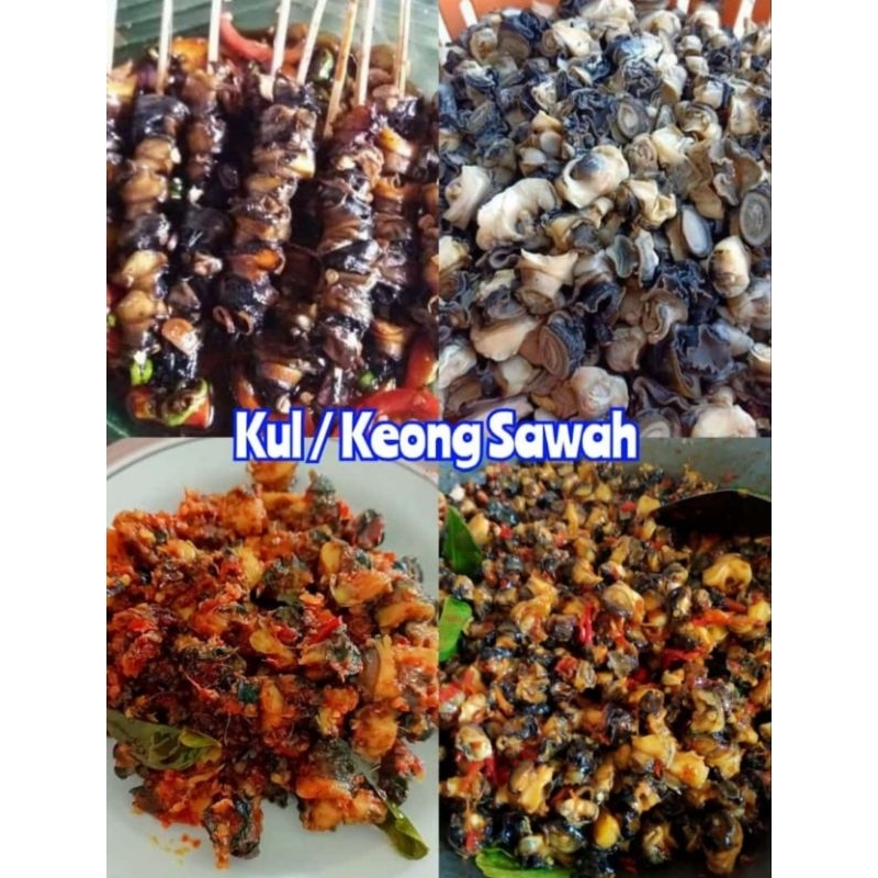 

Keong/Kul Sawah Sudah Bersih 1kg