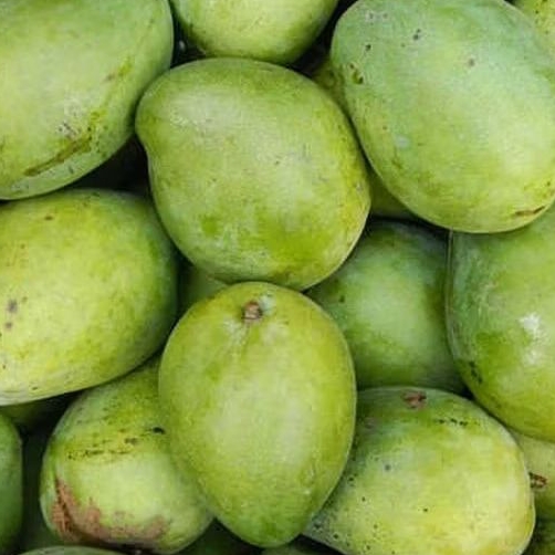 

mangga muda 1 kg + bumbu rujak bangkok