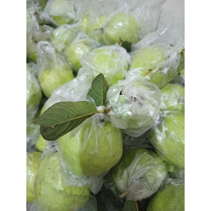 

Jambu kristal grade c isi 7-9 buah
