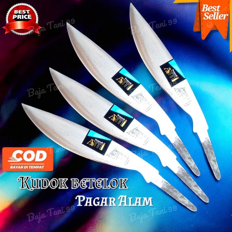 Kudok betelok - pagar alamm