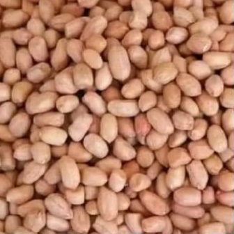 

kacang tanah tuban yg besar dan berkualitas 500g