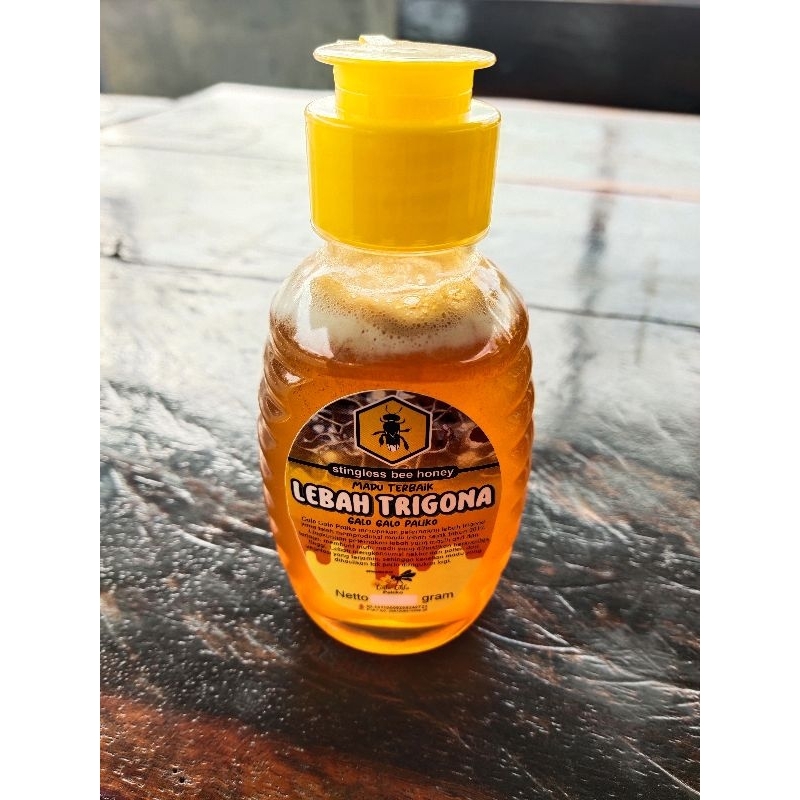 

Madu Lebah Trigona ( Madu Galo-galo )