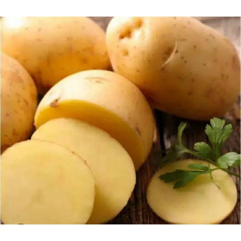 

KENTANG SEDANG PER 1 KG