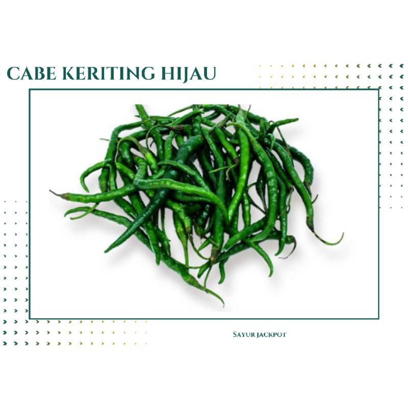 

Cabe hijau keriting
