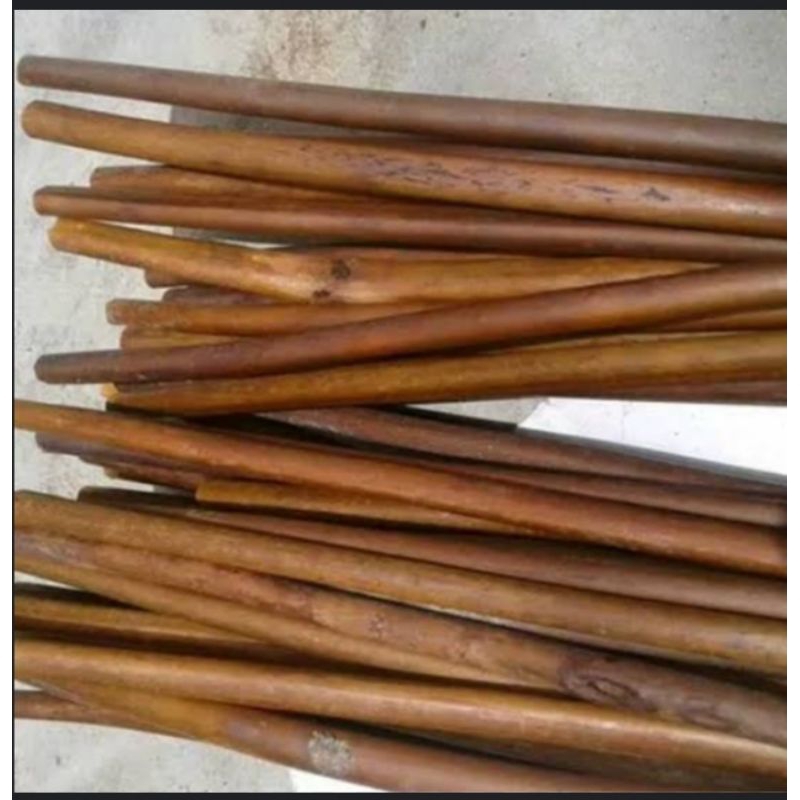

batang paku andam segar 300gram/25cmkayu resam pena