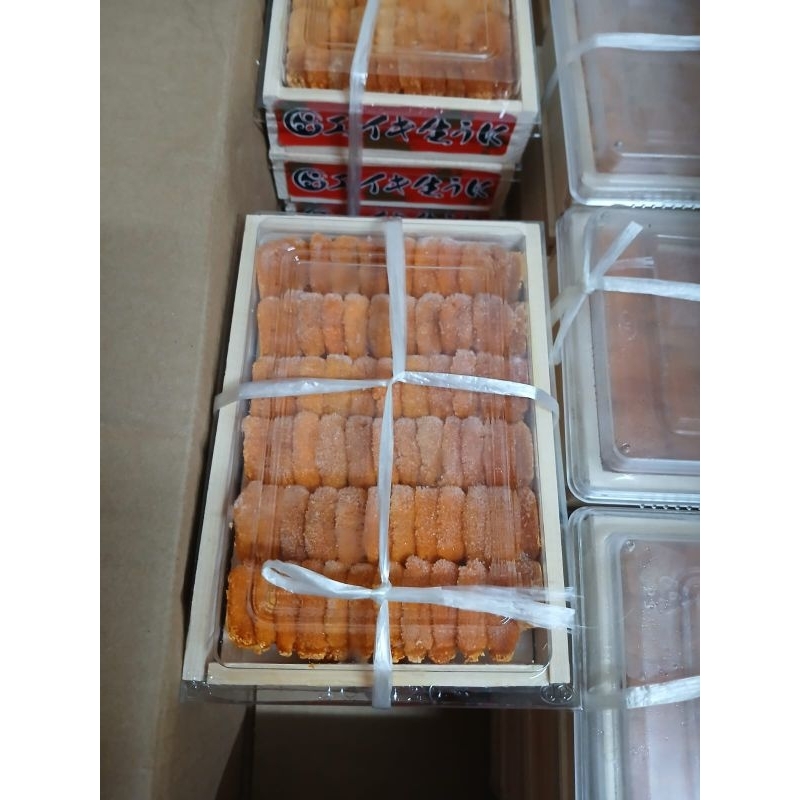 

Sea Urchin - Uni Frozen - Import Jepang