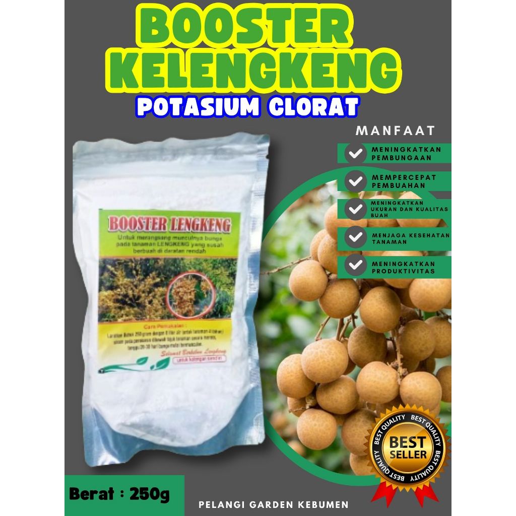 DIJAMIN ASLI  Booster Kelengkeng Berbuah, Booster Kelengkeng Berbunga, Booster Kelengkeng Cepat Berb