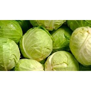 

KUBIS KOL PUTIH GUBIS GOBES SAYUR GROSIR 1KG TERMURAH BISA KIRIM SELURUH INDONESIA