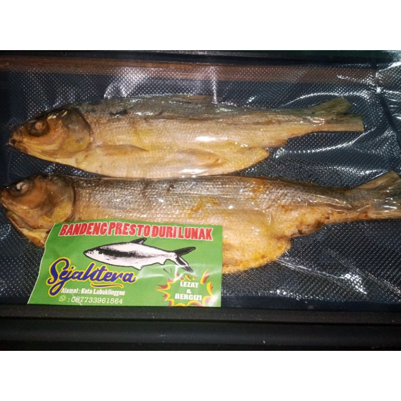 

BandengPrestoIsi2Vacum