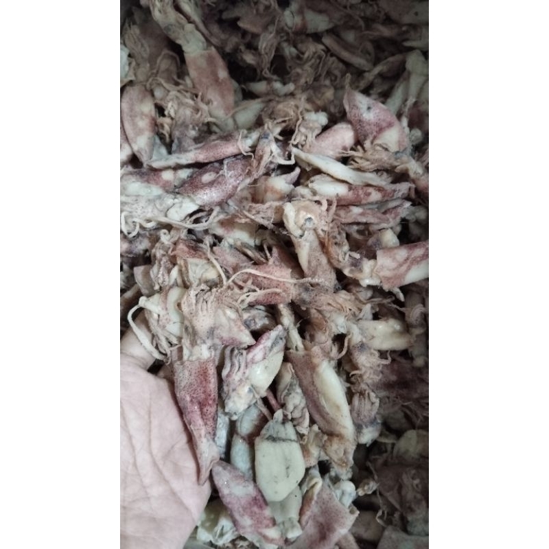 

cumi asin kemasan kecil
