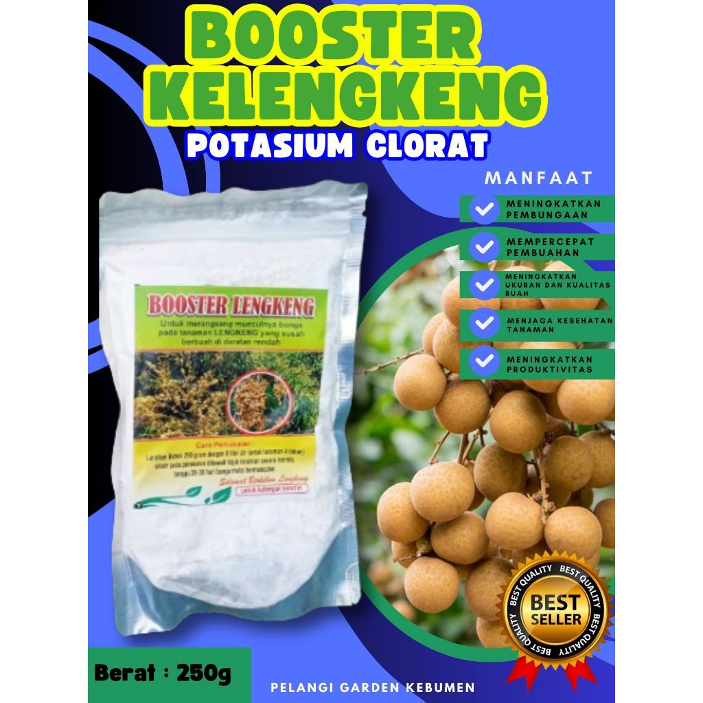 TERLARIS  Pupuk Buah Kelengkeng Sudah Berbunga, Pupuk Buah Kelengkeng Siap Berbuah, Pupuk Buah Kelen