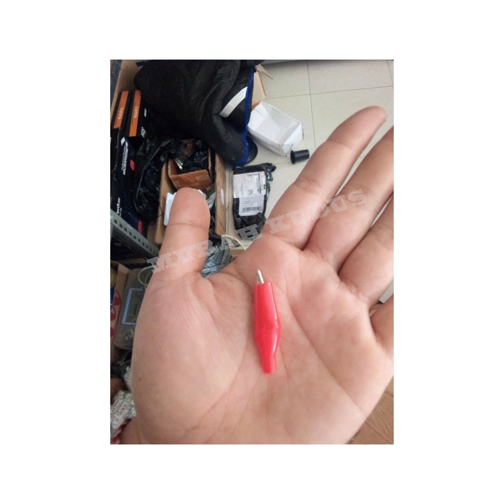 CAPIT BUAYA KECIL SEPASANG