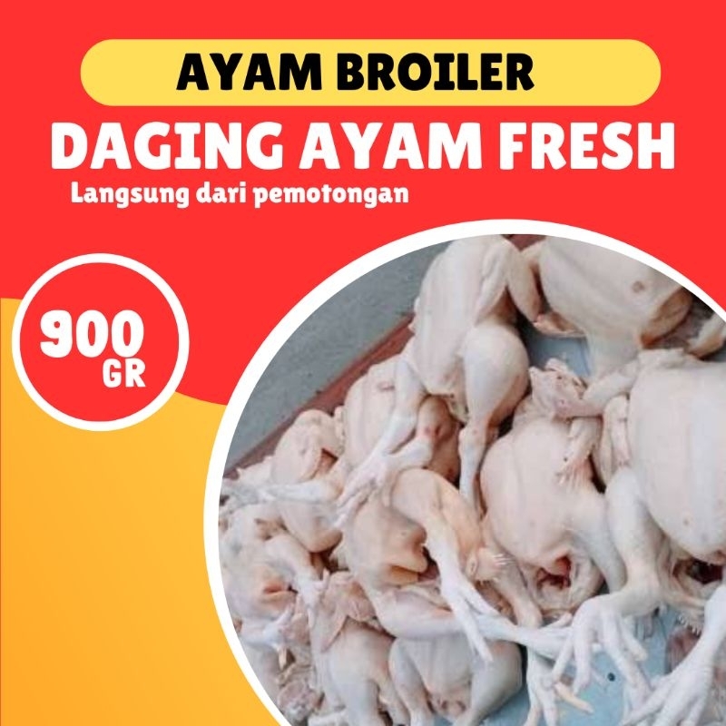 

Daging Ayam Fresh Berat 900gr lengkap kepala dan ceker
