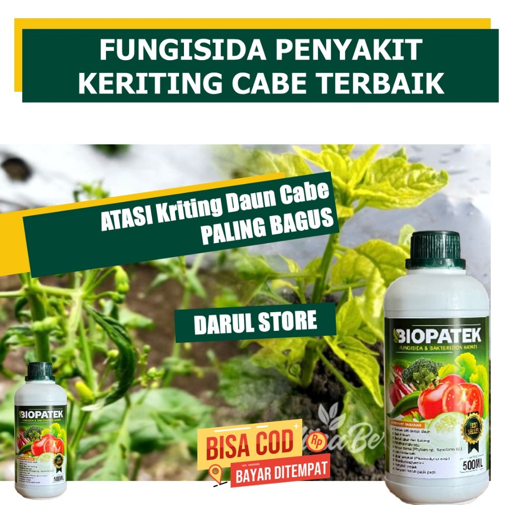 Biopatek Obat Hama Kriting Daun Cabe Paling ampuh - Biopatek Obat Hama Kriting Daun kuning Cabe - Bi