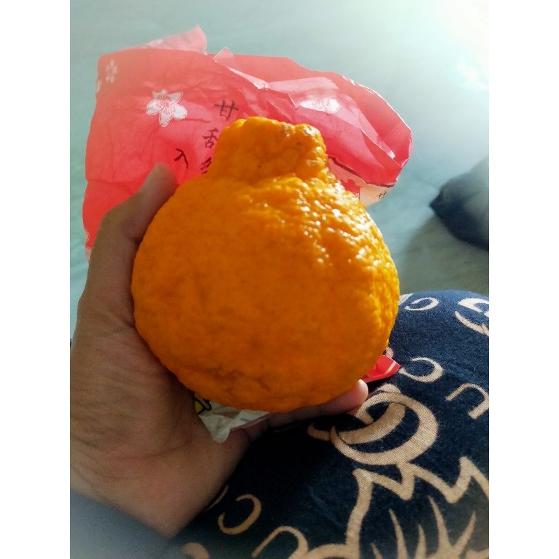 

JERUK PAPAGAN #JERUK JUMBO MANIS