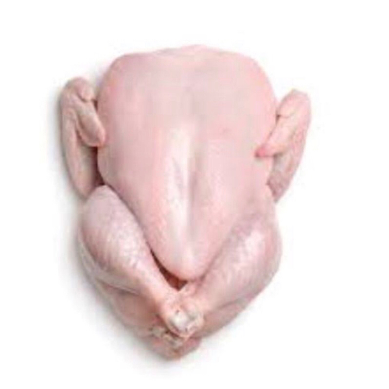 

Ayam Karkas 800 - 900 gr