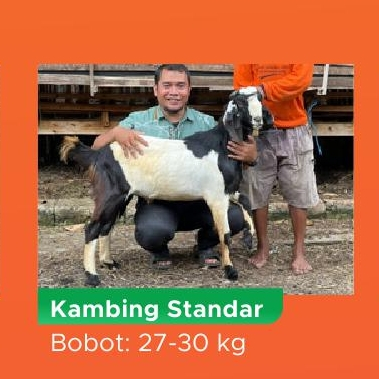 

Qurban Kurban Kambing Biasa