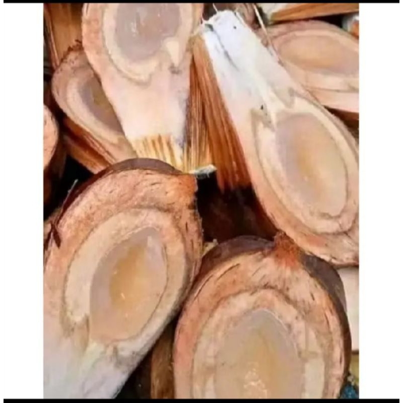 

Buah nipah/buah dahon kupas fress isi 500gr,, 250gr,, 100gr