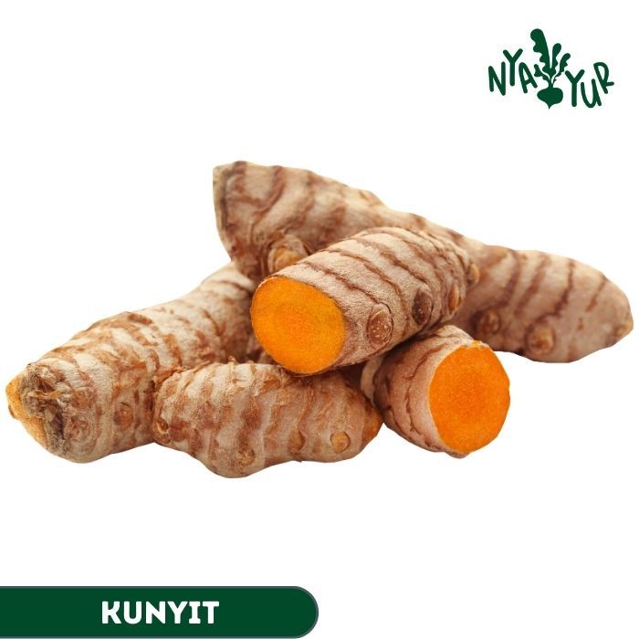 

INSTAN - Kunyit Segar 250gr