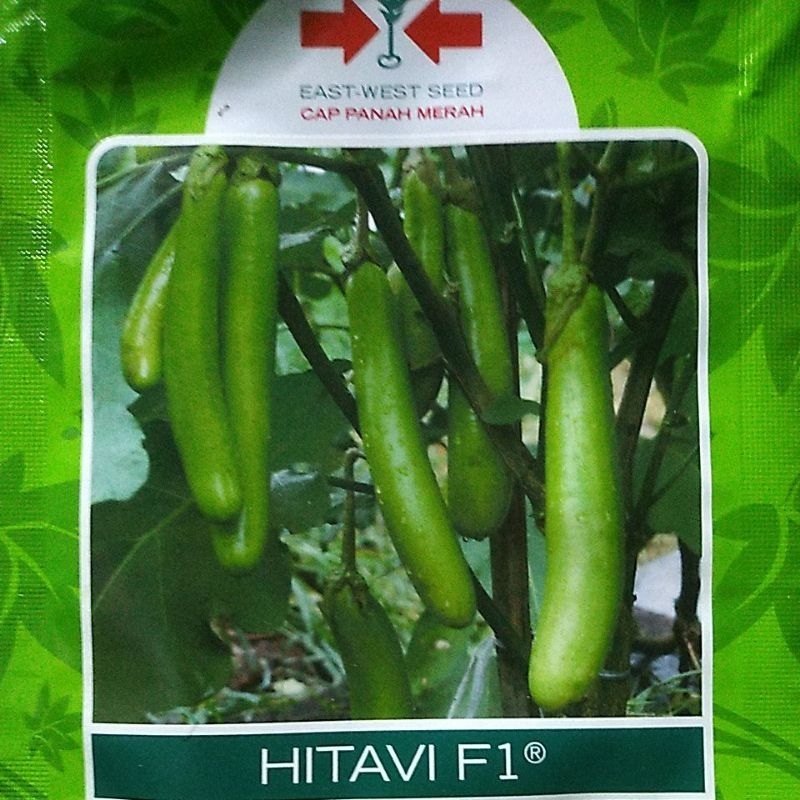 Bibit Terong Hijau Hitavi F1 Cap Panah Merah