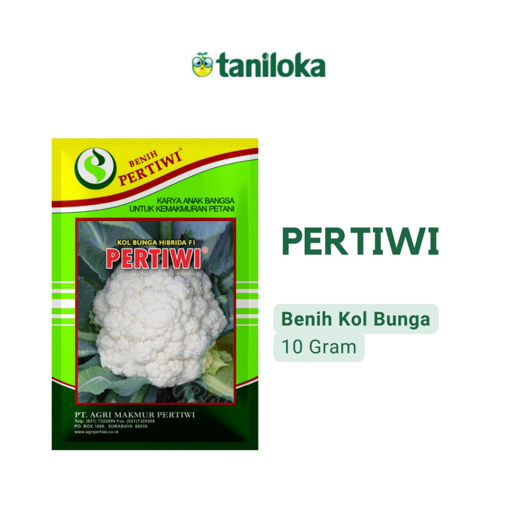 Benih Pertiwi - Benih Kol Bunga Pertiwi (10 Gram)