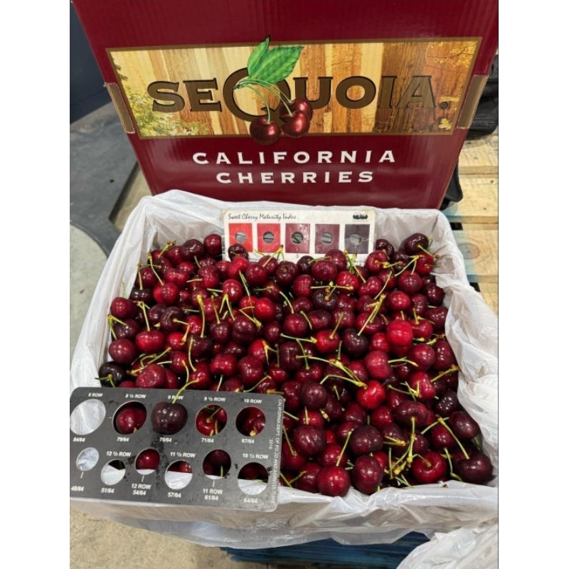 

Buah Cherry Fresh import kemasan box 5kg