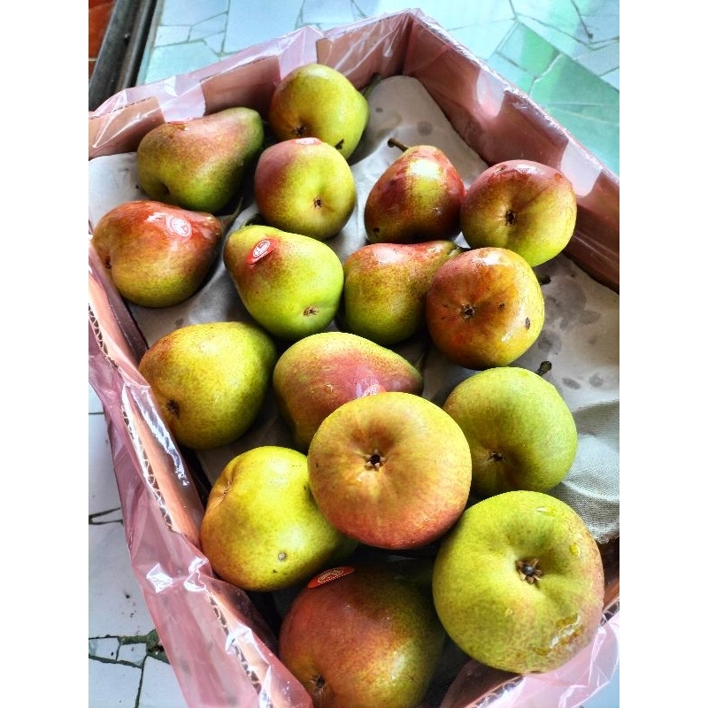 

pir forela manis kres 1kg