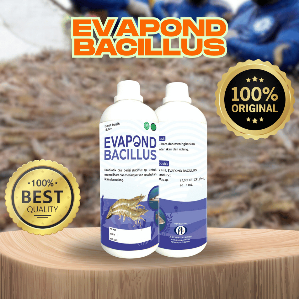 EVAPOND BACILLUS 1L - Probiotik cair Bacillus sp. meningkatkan kesehatan ikan dan udang