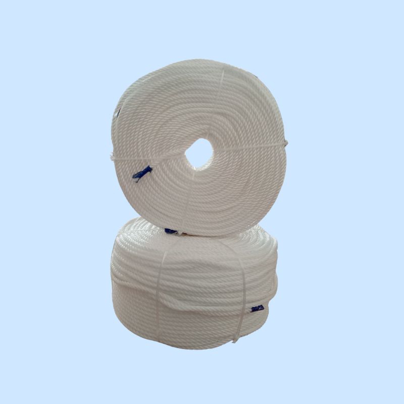 

Tali Tambang Plastik Putih Panjang 1 Meter