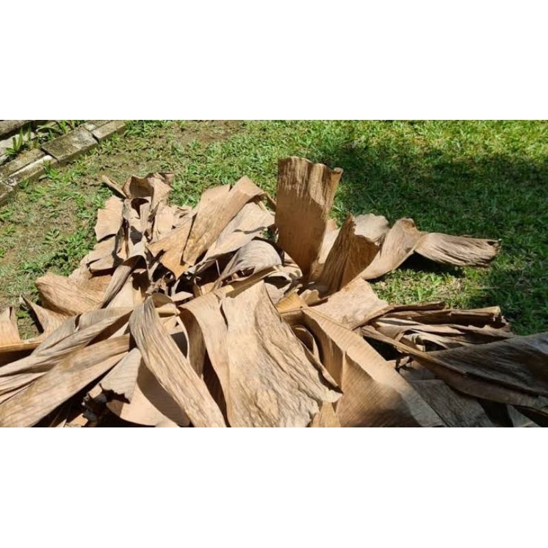 

DAUN PISANG KERING ASLI 100%