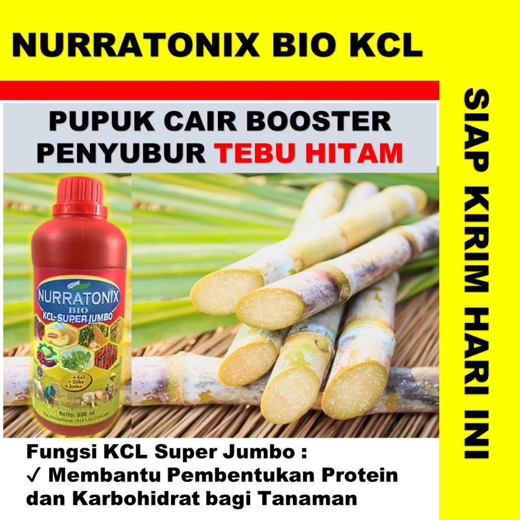 NURRATONIX BIO KCL SUPER JUMBO pupuk cair tebu kuning terbaik